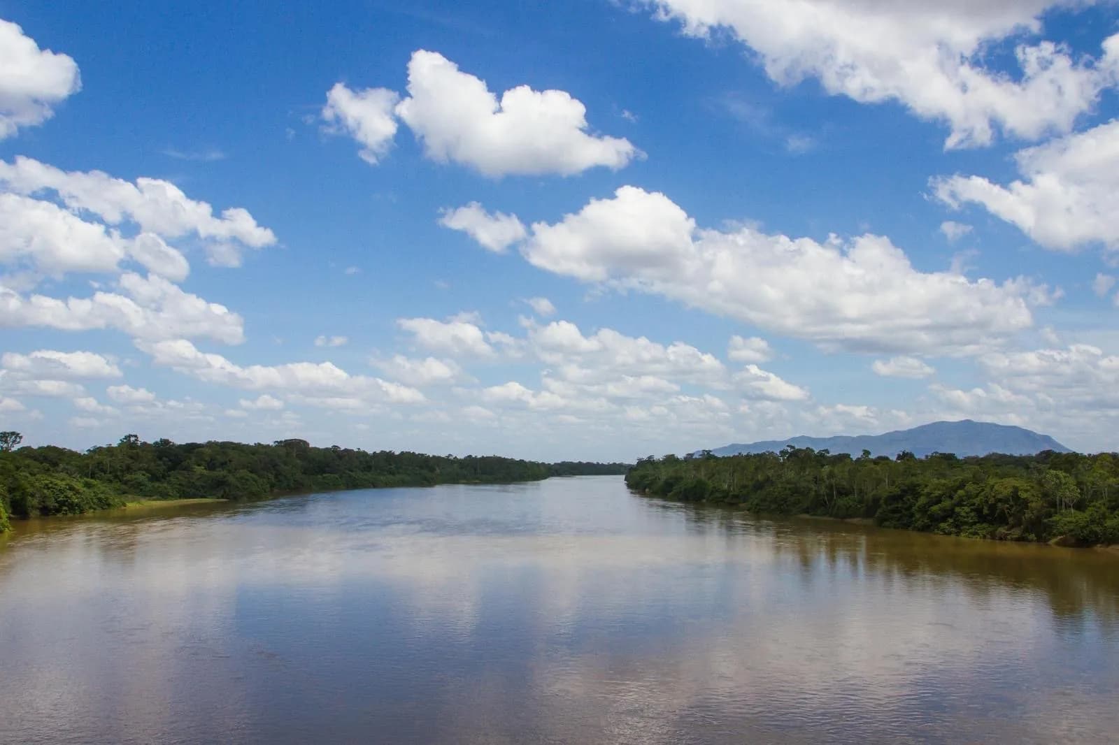 Fleuve amazonien bordé par la forêt sous un ciel lumineux.