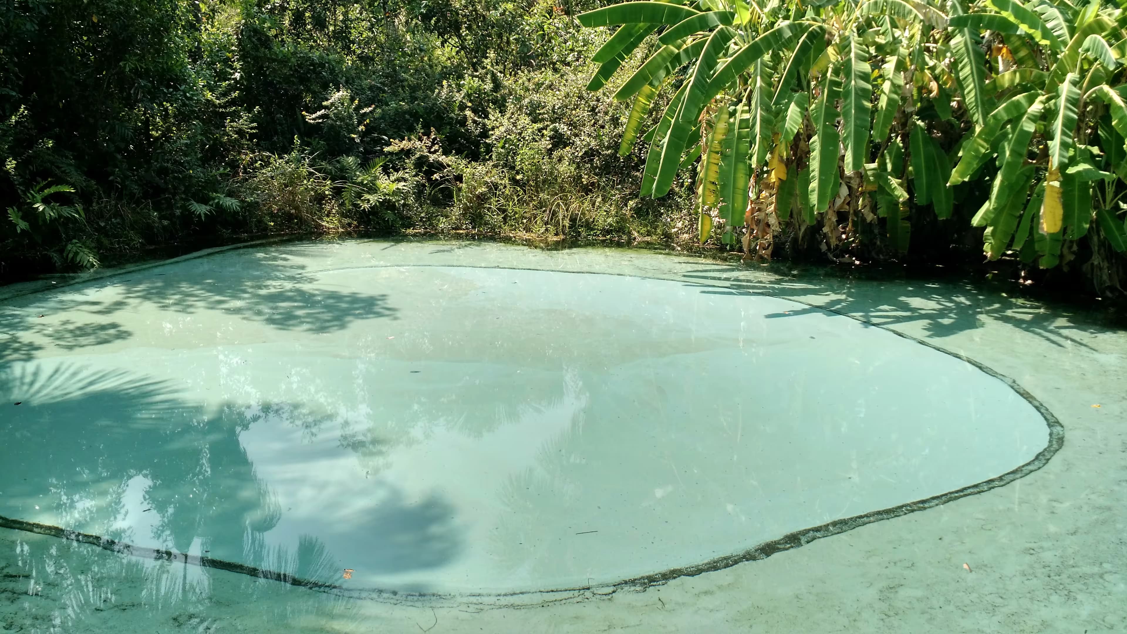 Eaux claires du Fervedouro Bela Vista entourées de végétation au Jalapão.