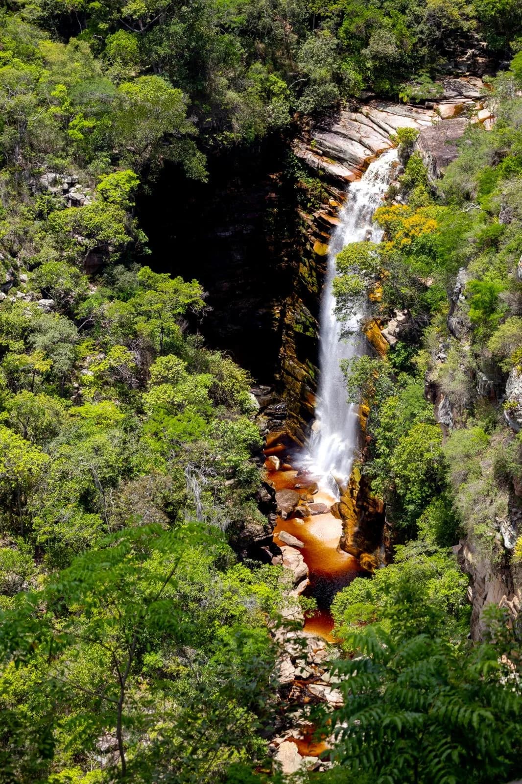 Cascade au cœur de la végétation de la Chapada Diamantina.