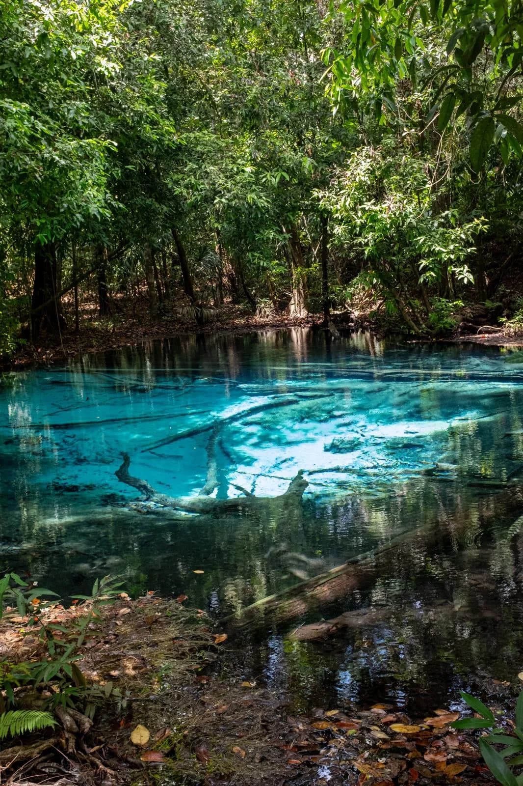 Eaux cristallines d’une rivière de Bonito.