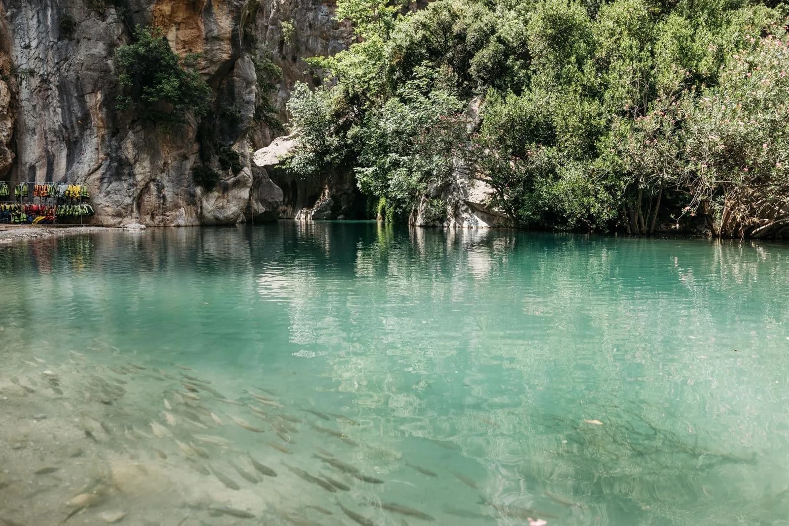 Lagune aux eaux transparentes à Bonito.