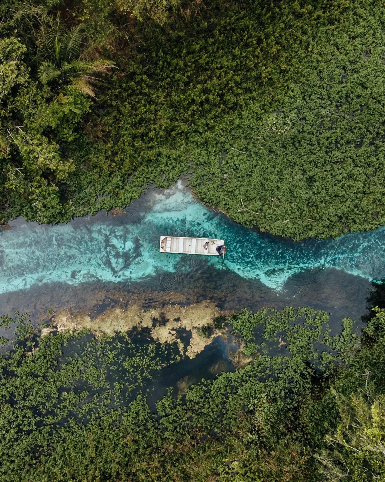 Source turquoise entourée de forêt à Bonito.